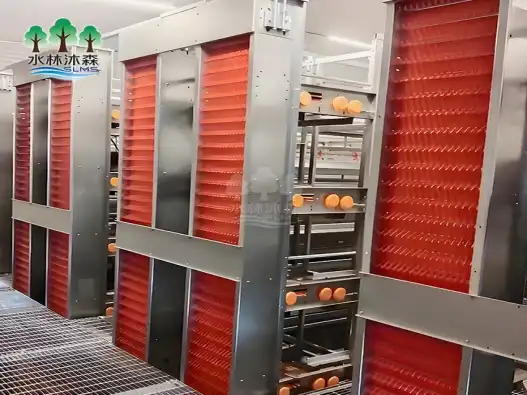 Energy-efficient quadruple-deck layer rearing cage designs for poultry farms